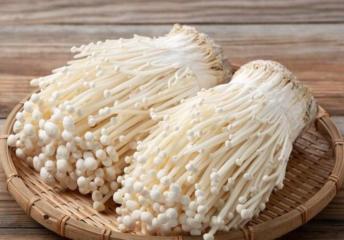 Flammulina velutipes