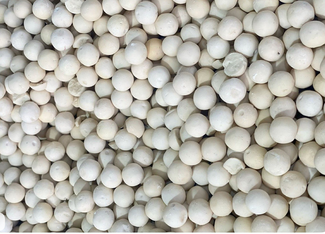 Volvariella volvacea